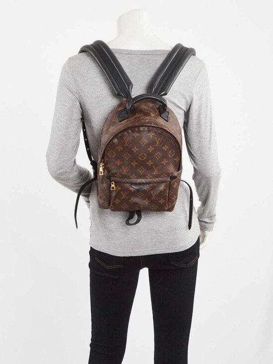 Louis Vuitton Monogram Canvas Palm Springs PM Backpack Bag main image 6